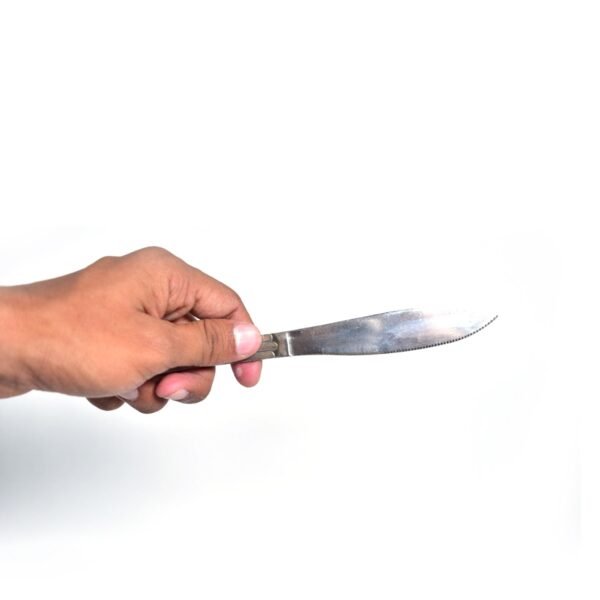 8 Pieces Dinner Knife Cutlery Set Used for Salad sandwich and Portable to be Taken for Outing or Picnic