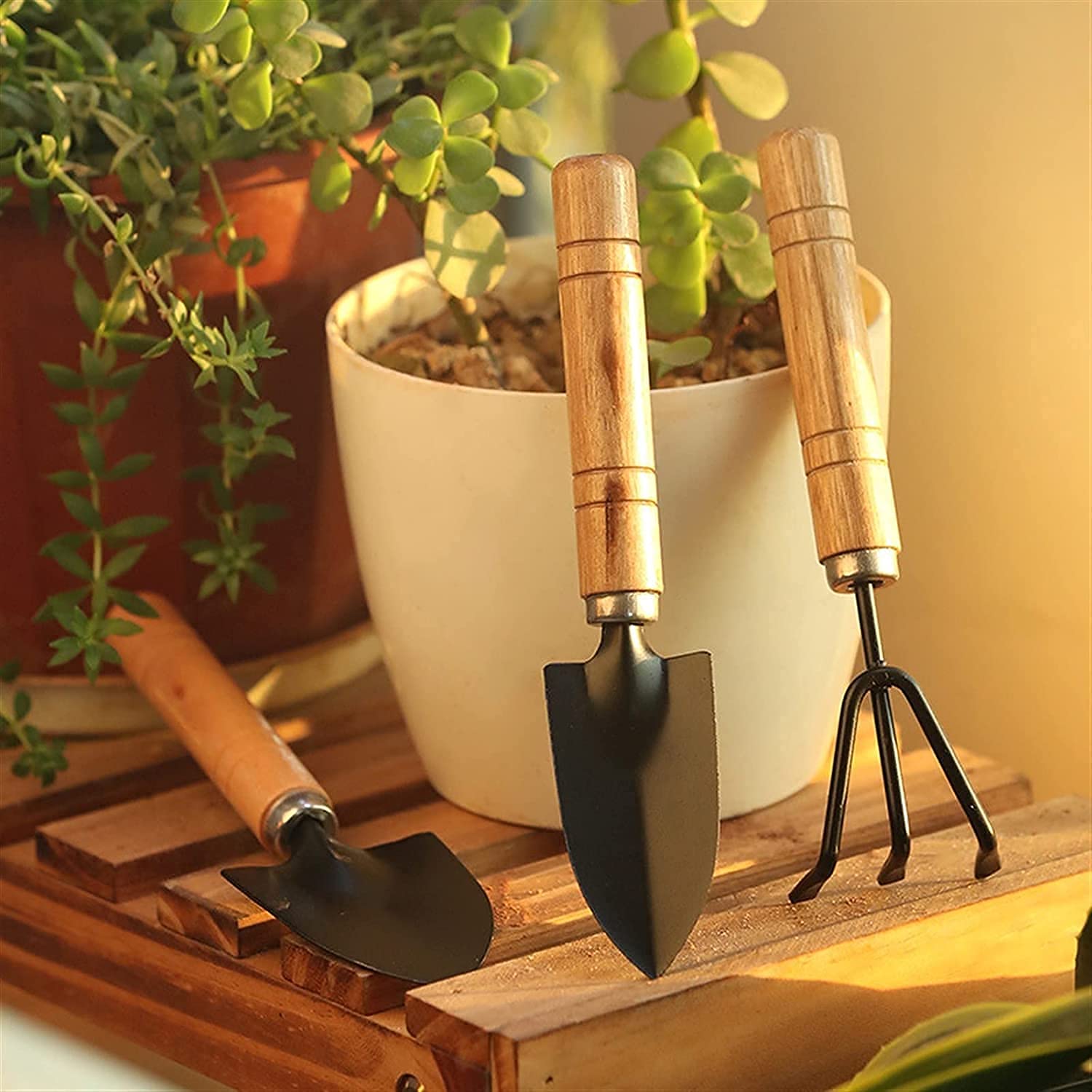 Small sized Hand Cultivator, Small Trowel, Garden Fork (Set of 3) - Shivani Jaswal Small sized Hand Cultivator, Small Trowel, Garden Fork (Set of 3)