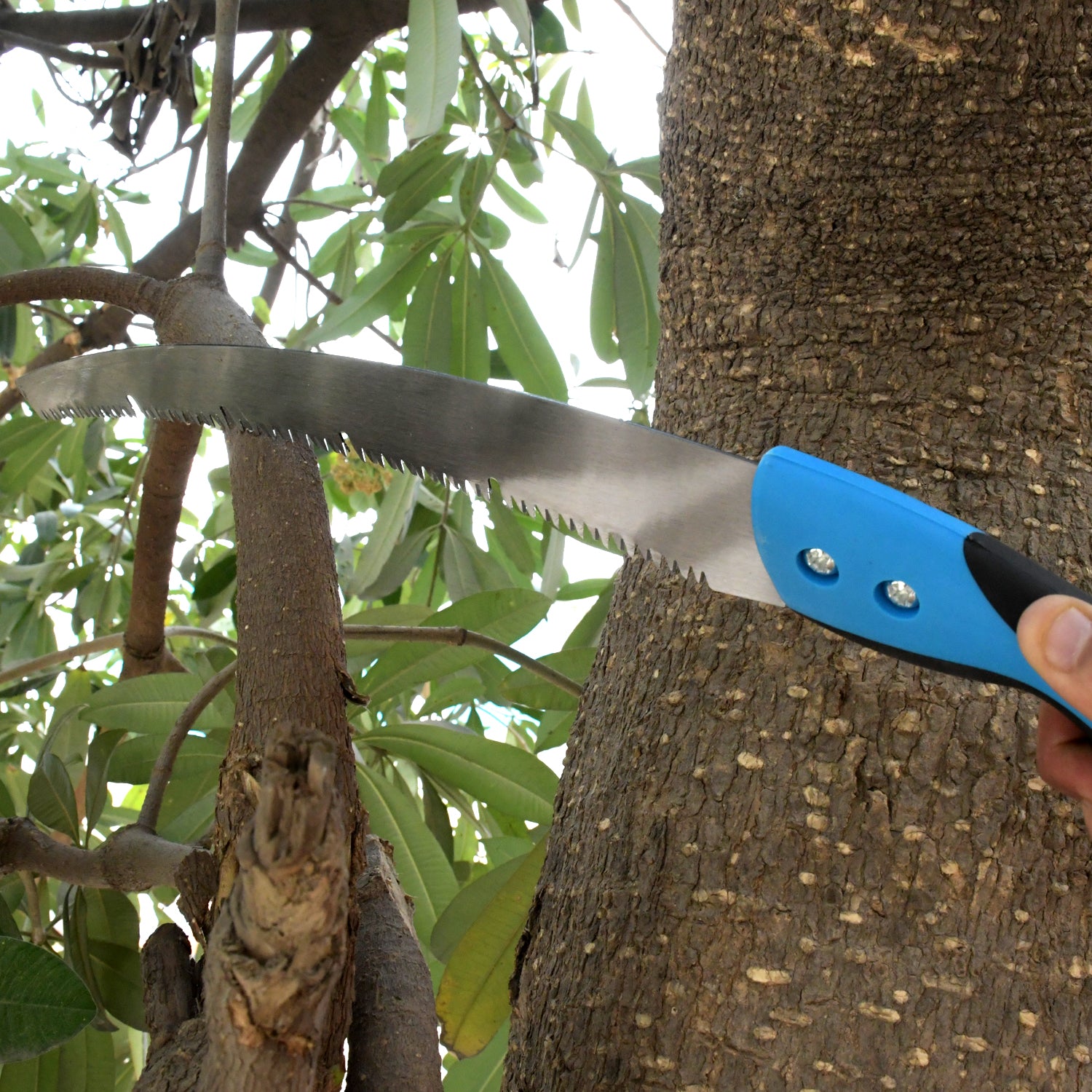 20-Inch High Carbon Steel Pruning Saw – Sharp Teeth, Cover Included, Ideal for Gardening & Wood Cutting - Shivani Jaswal 20-Inch High Carbon Steel Pruning Saw – Sharp Teeth, Cover Included, Ideal for Gardening & Wood Cutting