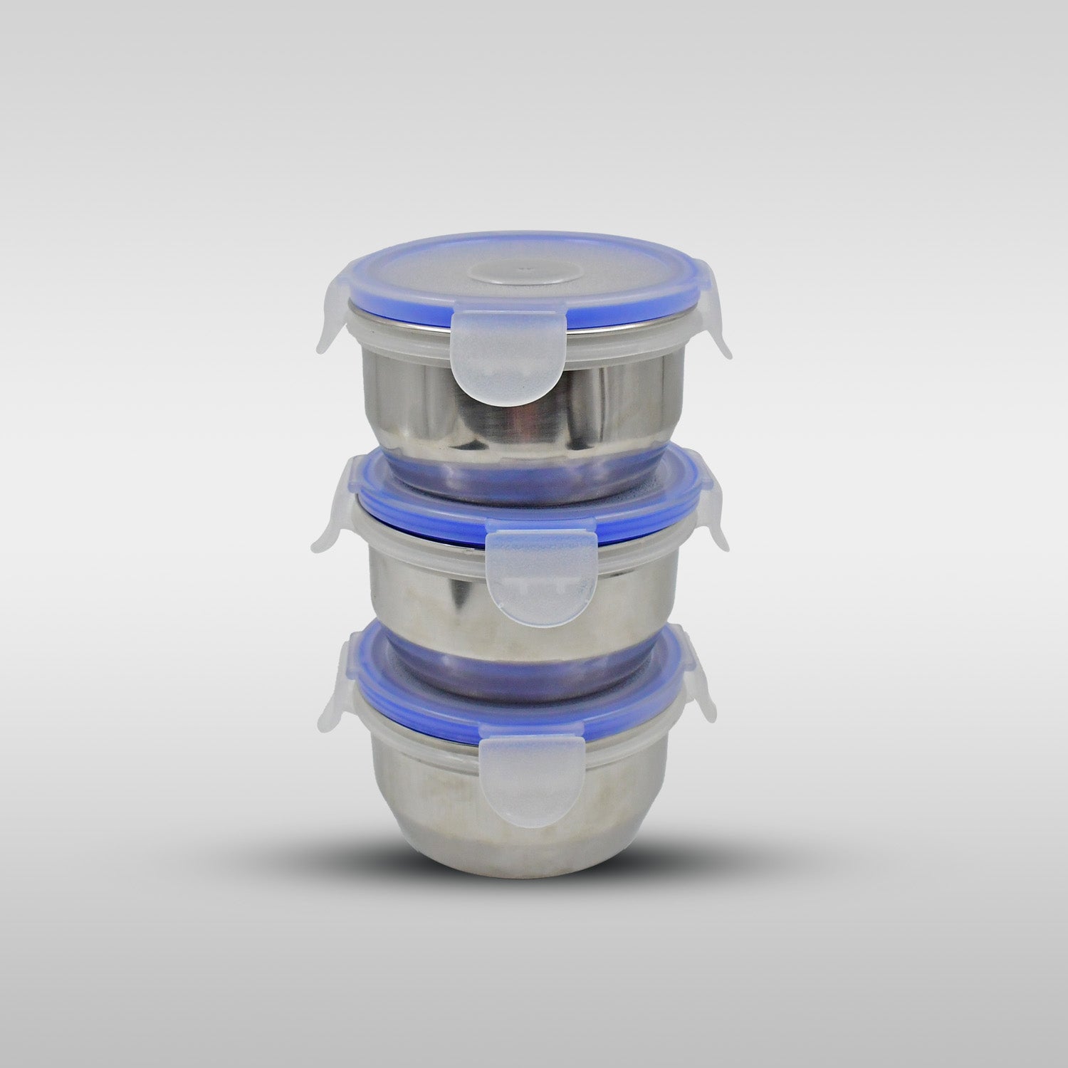 Stainless Steel Lunch Box - Multi-Compartment Airtight Container for Office, School & Travel - Shivani Jaswal Stainless Steel Lunch Box - Multi-Compartment Airtight Container for Office, School & Travel