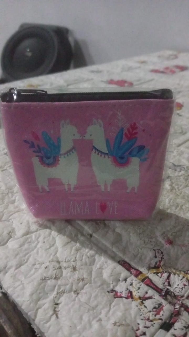 Mini Reusable Multipurpose Washable Pouch Case Travel, Boys & Girls Pouch with Zip, Cosmetic Makeup Pouch, Mini Backpack, for Travel (10x9CM) - Shivani Jaswal Mini Reusable Multipurpose Washable Pouch Case Travel, Boys & Girls Pouch with Zip, Cosmetic Makeup Pouch, Mini Backpack, for Travel (10x9CM)