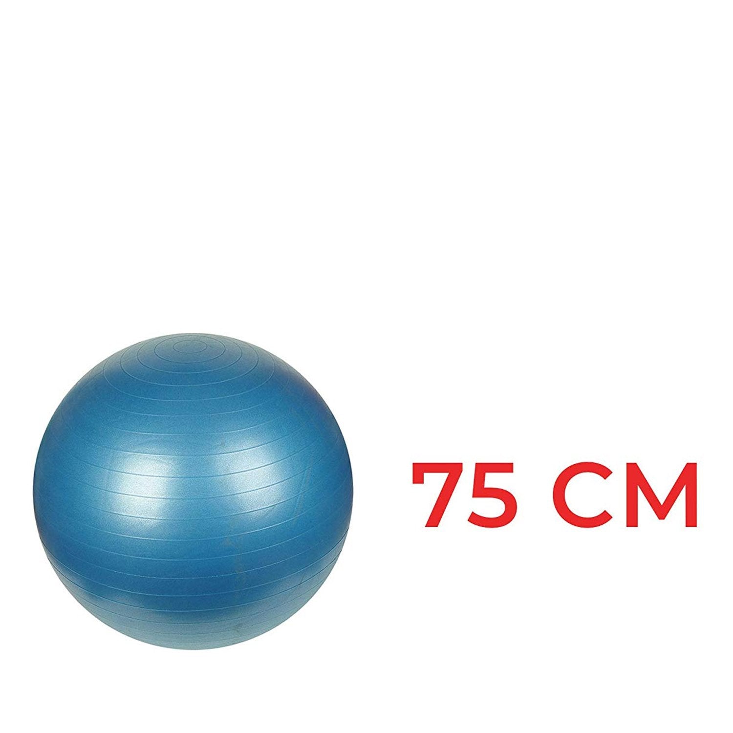 Anti-Burst Gym Ball with Pump (75 cm) - Shivani Jaswal Anti-Burst Gym Ball with Pump (75 cm)