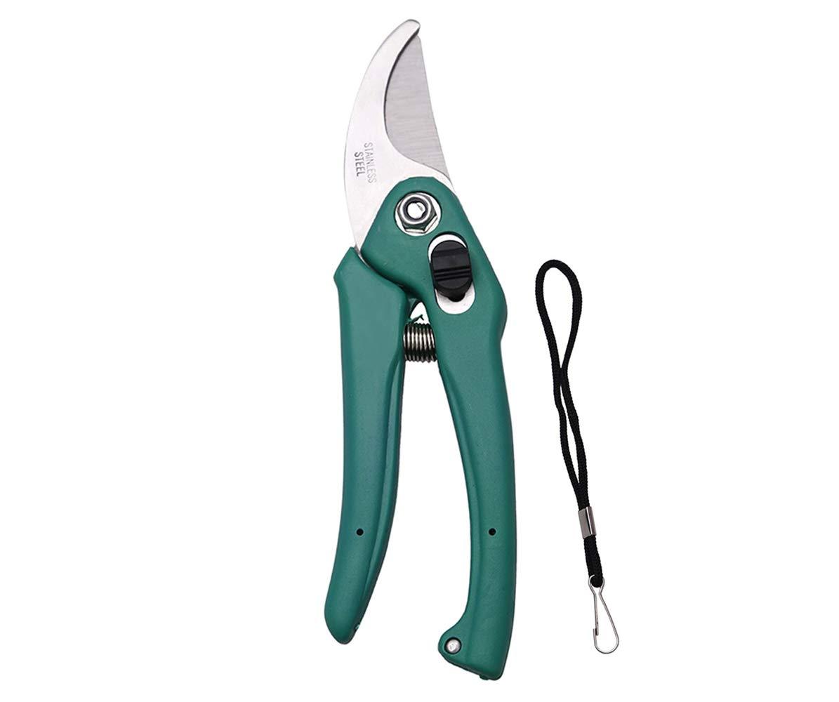 Stainless Steel Garden Scissors - Shivani Jaswal Stainless Steel Garden Scissors
