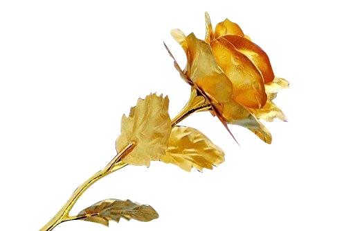 24K Artificial Golden Rose / Gold Red Rose with Gift Box (10 inches) - Shivani Jaswal 24K Artificial Golden Rose / Gold Red Rose with Gift Box (10 inches)