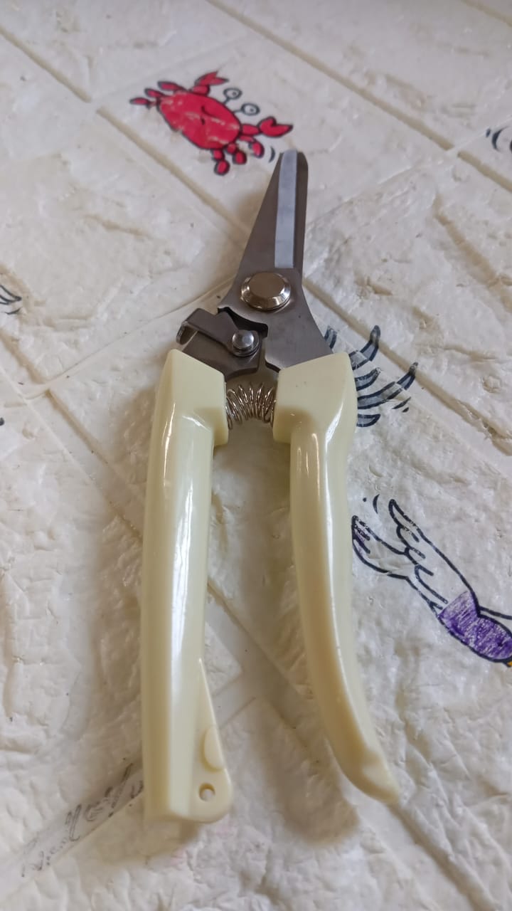 Garden Pruning Shears with Anti-Slip Handle Labor-Saving Fruit Tree Pruning Shears - Shivani Jaswal Garden Pruning Shears with Anti-Slip Handle Labor-Saving Fruit Tree Pruning Shears